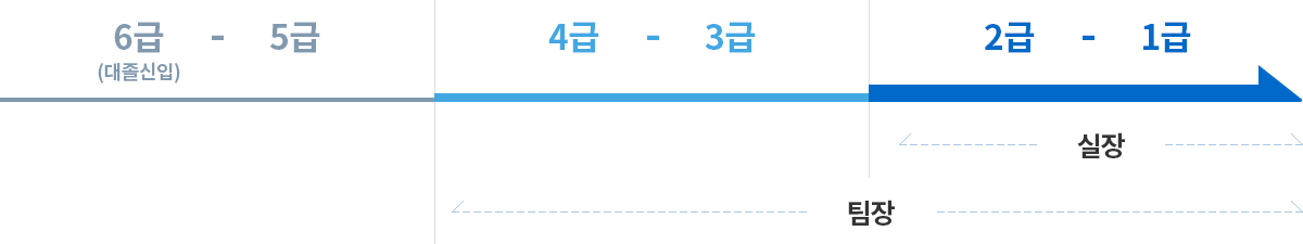 나이스평가정보의 직급체계는 6급에서 1급까지 있으며, 6급에서 5급은 대졸신입, 4급에서 1급은 팀장, 2급에서 1급은 실장 직급에 속합니다.
