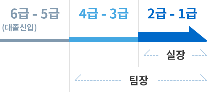 나이스평가정보의 직급체계는 6급에서 1급까지 있으며, 6급에서 5급은 대졸신입, 4급에서 1급은 팀장, 2급에서 1급은 실장 직급에 속합니다.
