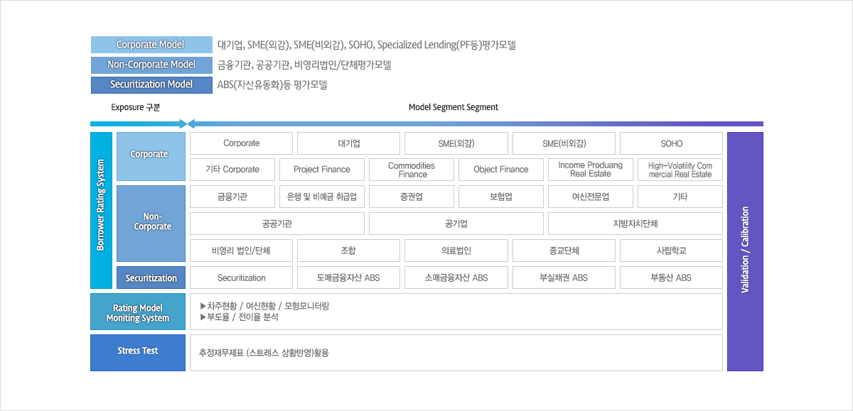 Exposure구분으로는 Borrower Rating System에 속하는 Corporate model, Non-Coporate Model, Securitization Model, Rating model Moniting System, Stress Test가 있으며 Model Segment에는 Corporate, 대기업, 외감, 비외감, 소호, 기타 Corporate, Project Finance, Commodidies,Finance, Object Finance, Income Produang Real Eatate, High-Volatility Commercial Real Estate, 금융기관, 은행 및 비예금 취급업, 증권업, 보헙업, 여신전문업, 공공기관, 공기업, 지방자체단체, 비영리법인과 단체, 조합, 의료법인, 종교단체, 사립학교, Securitization, 도매금융자산 ABS, 소매금융자산 ABS, 부실채권 ABS, 부동산 ABS, 차주현황, 여신현황, 모형모니터링, 부도율, 전이율 분석, 추정재무제표 활용 등이 있습니다.