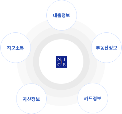 신용정보를 활용한 데이터의 대출정보, 부동산정보, 카드정보, 자산정보,직군소득의 정확도와 최신성을 유지