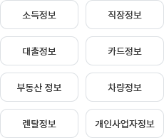 소득정보, 직장정보, 대출정보, 카드정보, 부동산 정보, 차량정보, 렌탈정보, 개인사업자정보