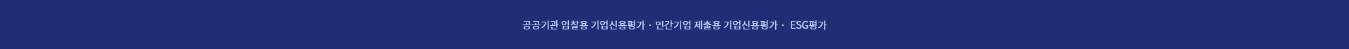 공공기관 입찰용 기업신용평가m 민간기업 제출용 기업신용평가, ESG평가 팝업 이미지