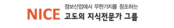 정보산업에서 무한가치를 창조하는 고도의 지식전문가 그룹 나이스