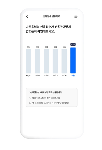 신용점검 정기 리포트