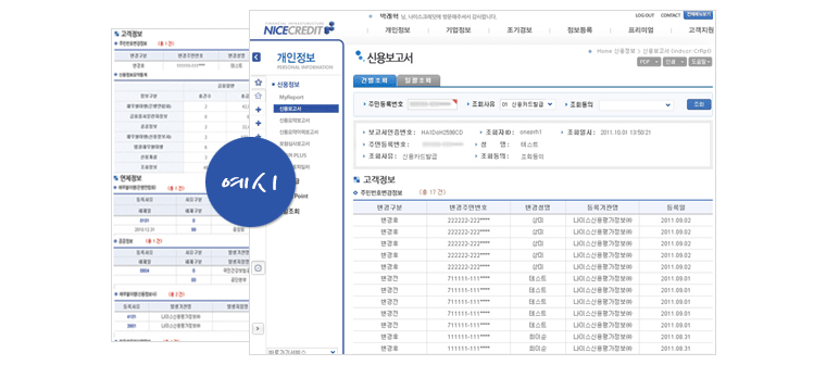 법인 종합신용보고서 소개