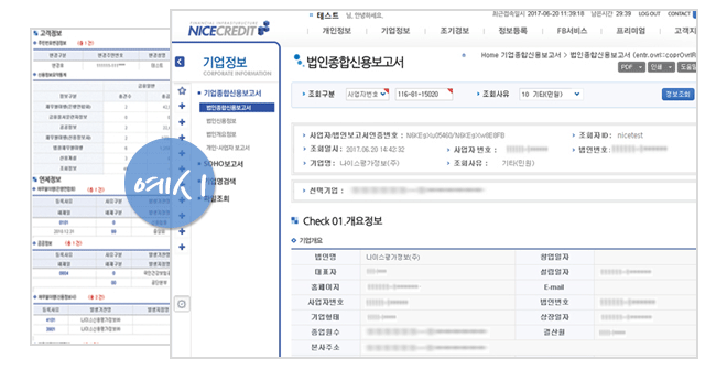 법인 종합신용보고서 소개